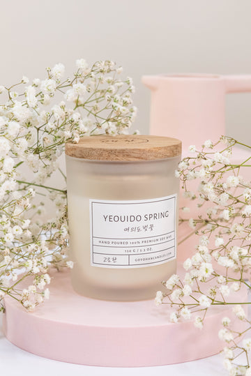 Yeouido Spring