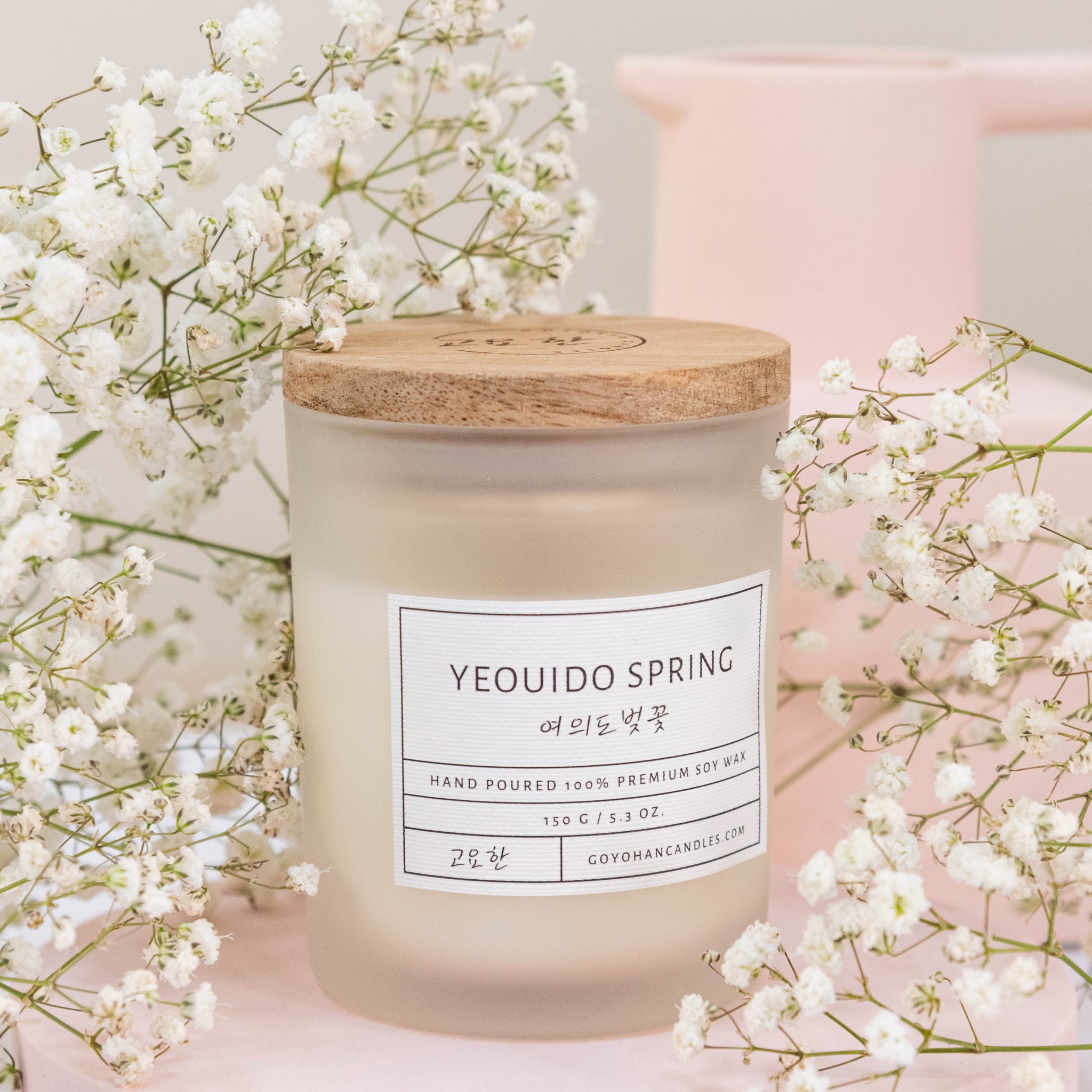 Yeouido Spring